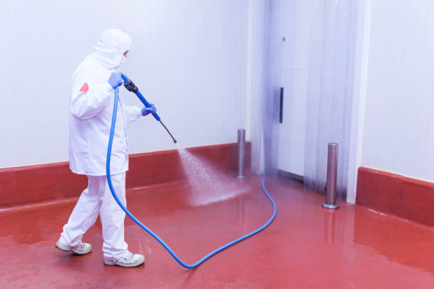Best Warehouse Cleaning  in Mountlake Terrace, WA