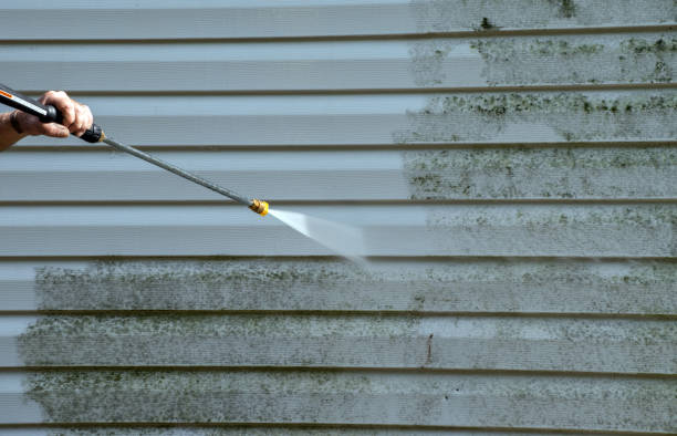Best Driveway Pressure Washing  in Mountlake Terrace, WA